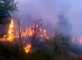 Incendies de forets de notre belle kabylie par les militaires stationnés en Kabylie