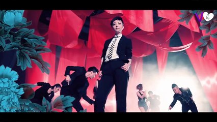 [Chinese Music Video] 张曼莉 - 花木兰 MV