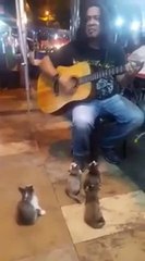 Suona una canzone e...