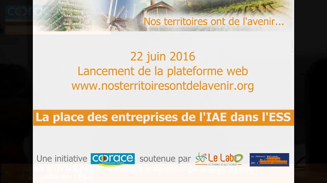 www.nosterritoiresontdelavenir.org : La place des entreprises de l'IAE dans l'ESS