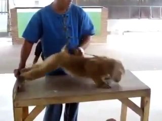 Герой спорта и без допинга