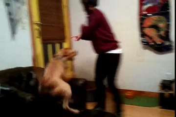 video-2010-10-25-19-53-15