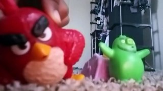 The   fight  of angry birds