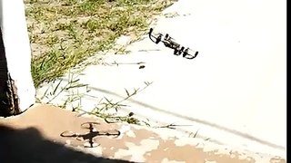 10 out of 10 propel spider drone