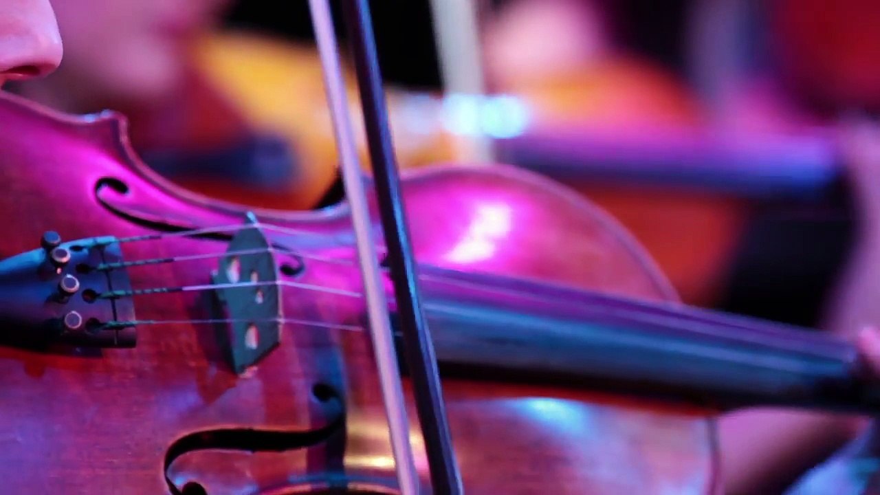 Sacred Viola