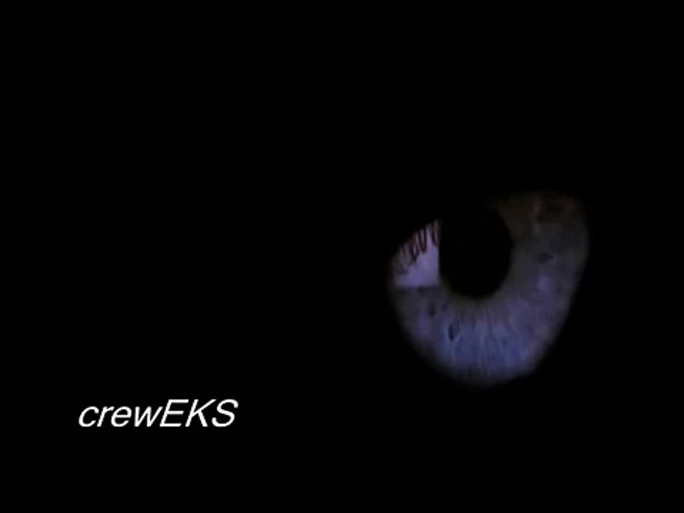 konferencja kreacjonizmu - 16.10.09 POZNAŃ ___ 19-21.10.09 GDAŃSK