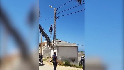 Rescue Officer Trying To Save Cat In Algeria