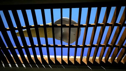 Larva Ep 23 (Ice Cream) - Ấu Trùng Tinh Nghịch Tập 23 (Kem)