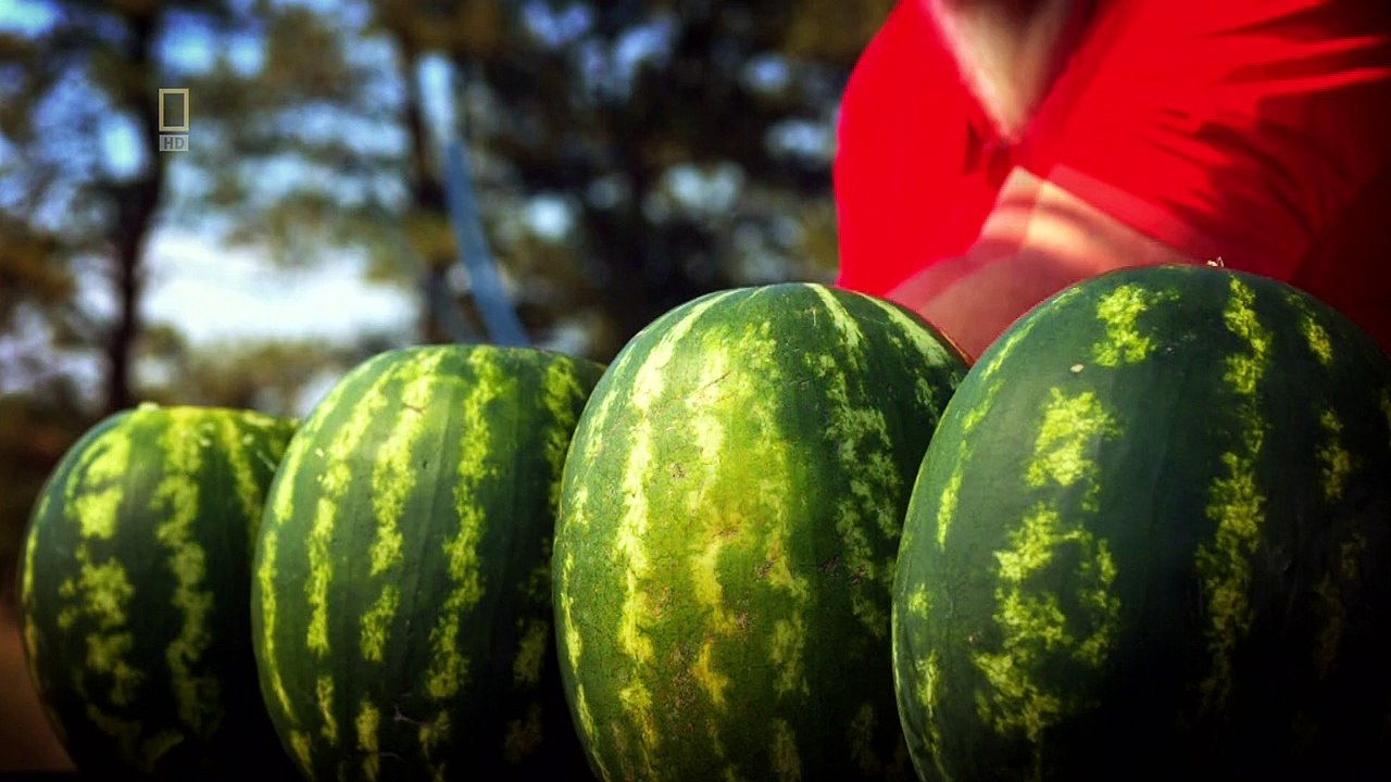 Die Waffensammler S01E06 Deutsch