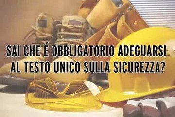 lavoro manuale haccp documento fast food azienda haccp