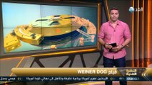 برنامج النشرة الفنية | 2016.6.22