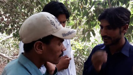 Balochi Comedy Film Kaar Duzz 2 Trailer 2016