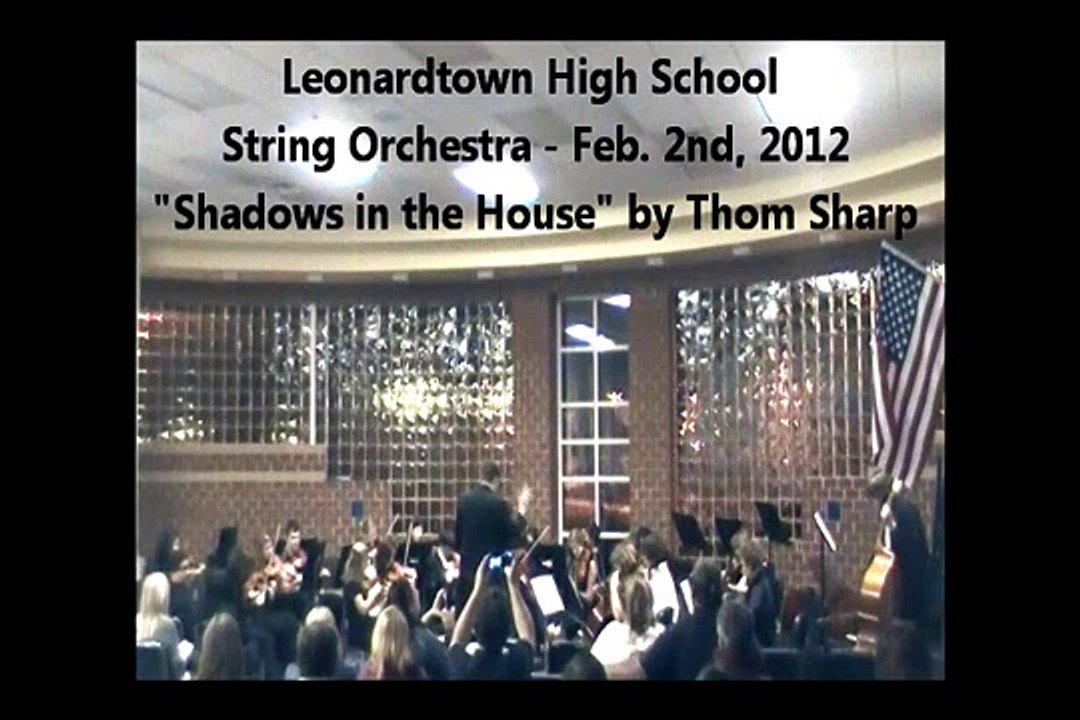 Shadows in the House