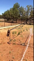 Ruger Beats the Heat