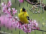 SubhanAllah SubhanAllah SubhanAllah SubhanAllah NAAT {RADHAN} - YouTube