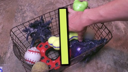 7 Sneaky Ways To HIDE Anything
