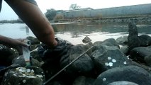 Memancing ikan belanak dengan botol bagian 1