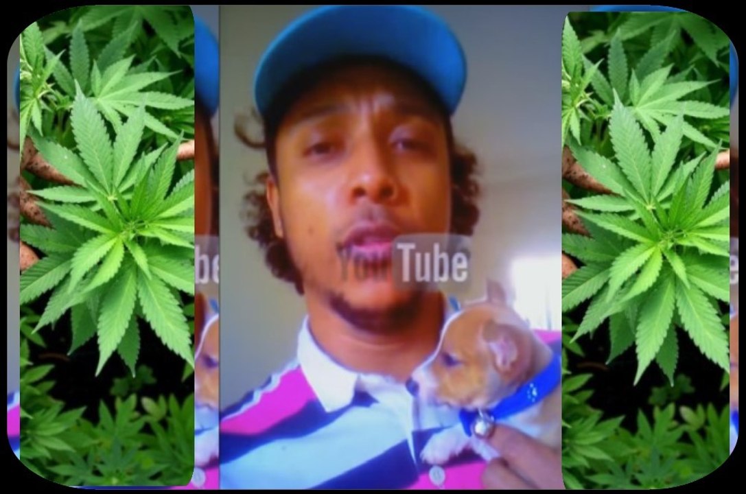 Maconha da microsoft vem aí