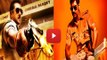 Salman Khan & Ajay Devgn | Dabang 3 & Singham 3 | Release In 2017