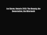 Read Ice Storm Ontario 2013: The Beauty the Devastation the Aftermath Ebook Free