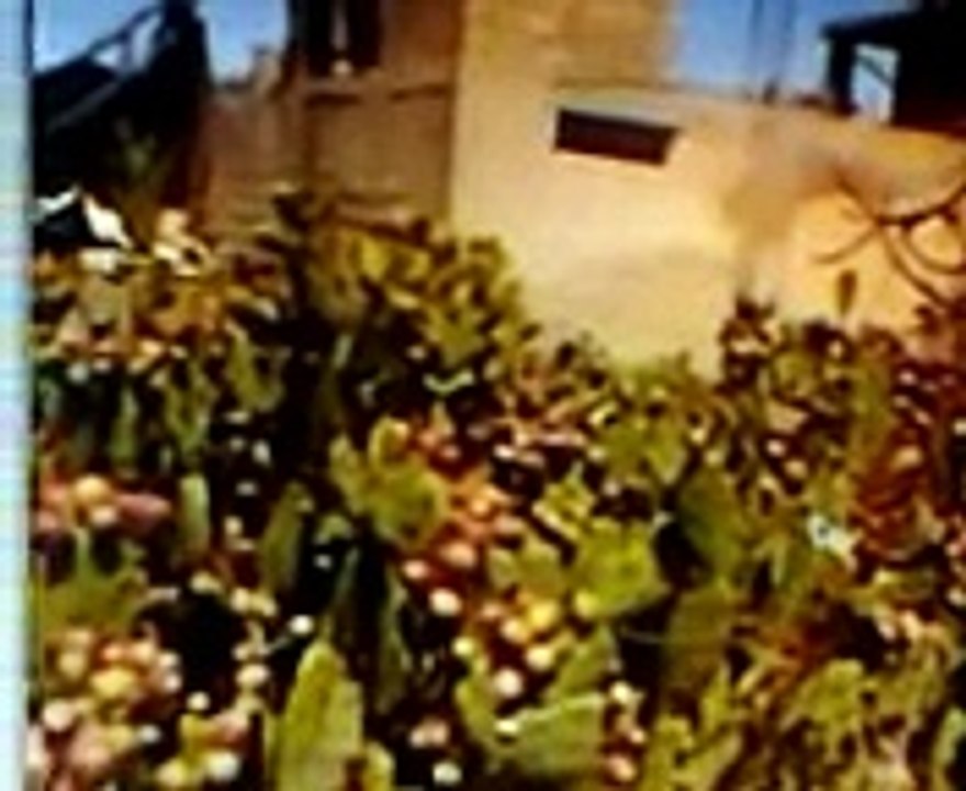 video 2014 08 10 12 25 36