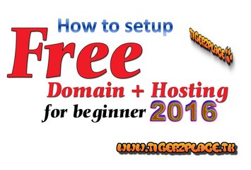 How to setup free domain and hosting