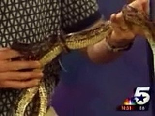 News Reporter goes Crazy!! Funny as hell!