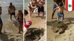 Animal cruelty: sea turtle dragged from water and attacked after being used for photos - TomoNews