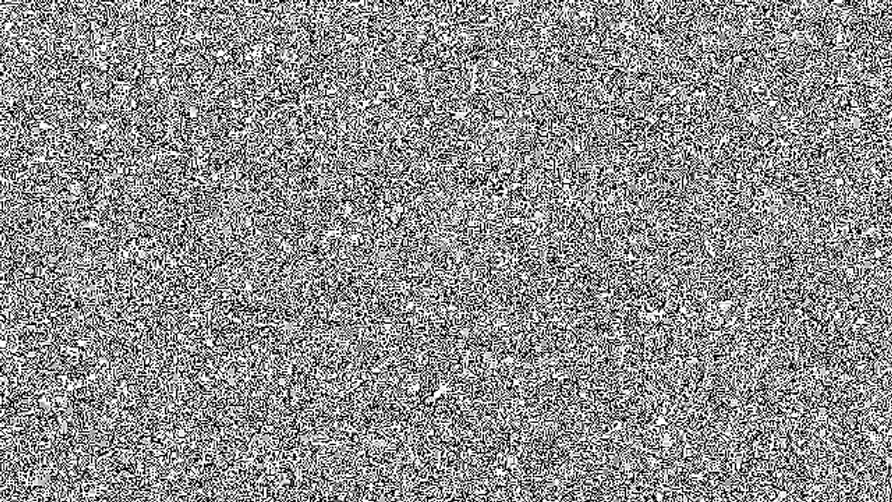 Downfall: The Jeb Bush Story