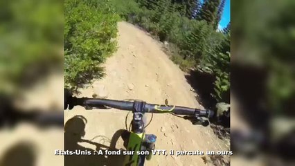 Etats-Unis  A fond sur son VTT, il percute un ours