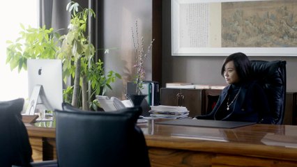 【爱的追踪】Atonement 13 九十年代中国经济大潮中进行情与法的纠葛与较