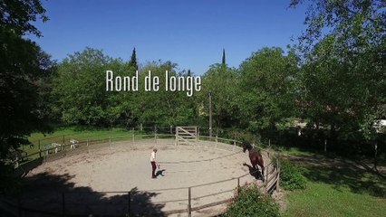 Film de présentation du club hippique de Vigoulet-Auzil
