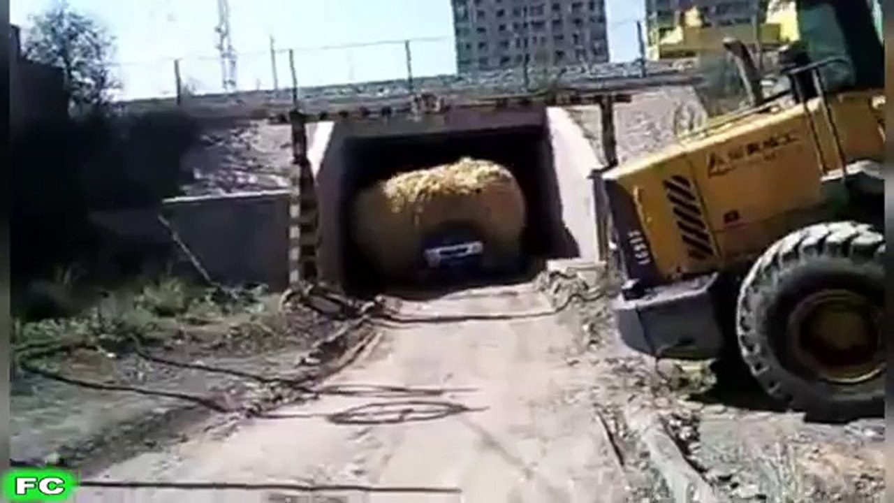Funny epic daily exercising videos: