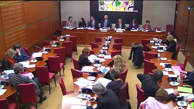 Réforme territoriale - Intervention en commission des Affaires culturelles sur l'article 28