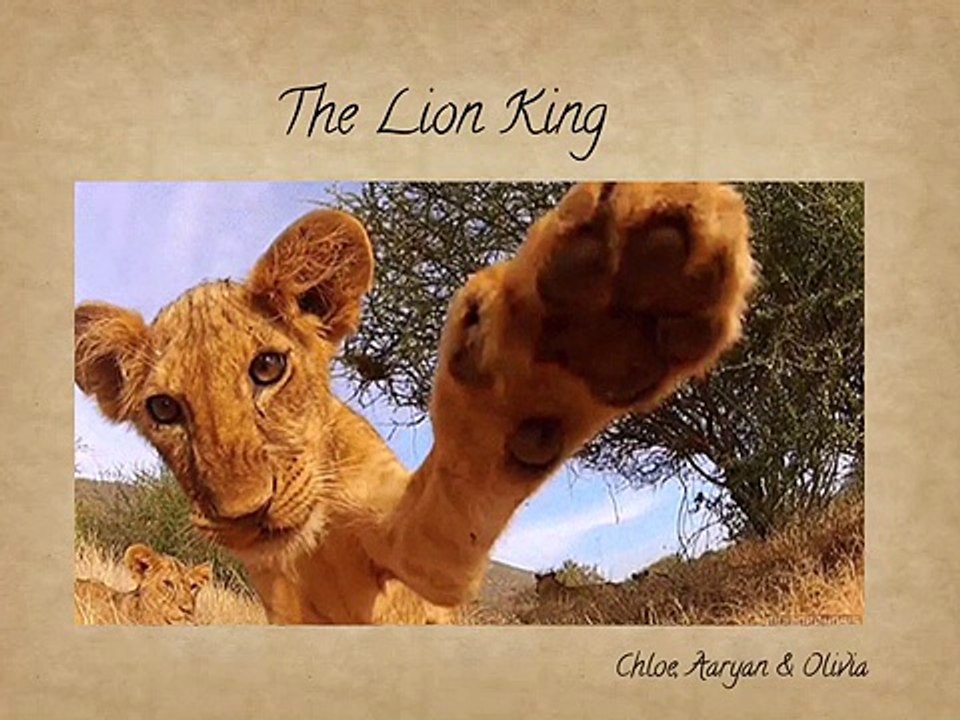 The Lion King Safari Expo