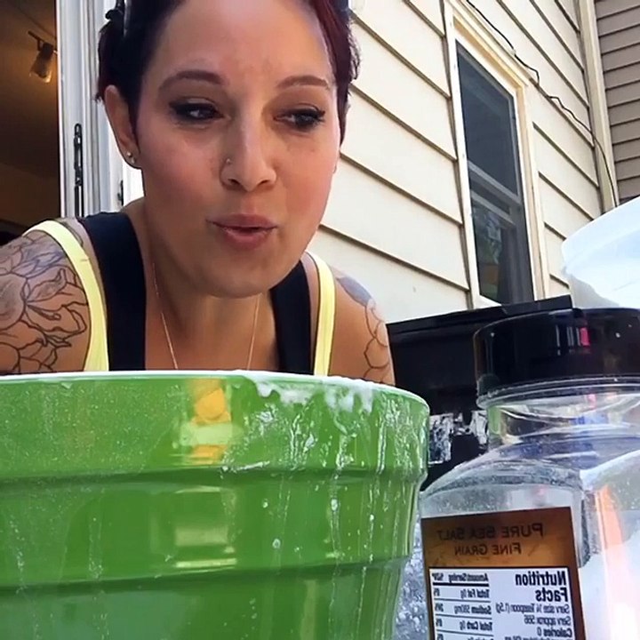 Raven Zaal : Natural Liquid Laundry Detergent with Essential Oils