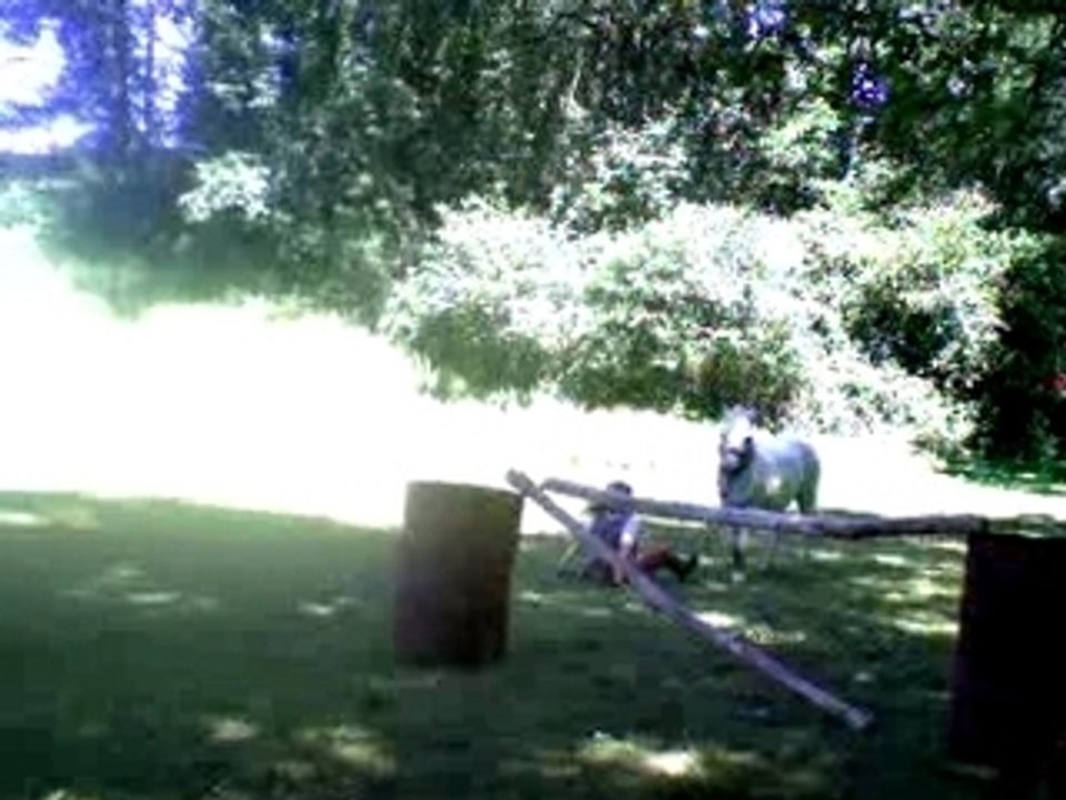 Chute au plat