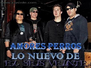 EL SEIS VEINTE  AMORES PERROS