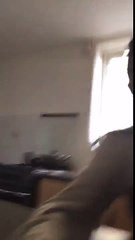 Welcome to Jurassic park