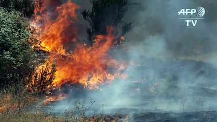Wildfires rage in western US amid deadly heatwave