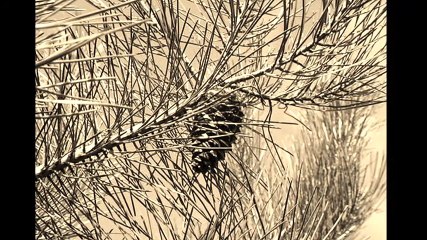 chez nous dans les landes