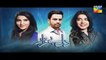 dil-e-beqarar-episode-11-full-hum-tv-drama-22-june-2016