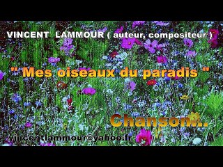 Mes oiseaux du paradis Chanson Vincent LAMMOUR