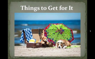 4 Easy Steps to Take Care Your Pets