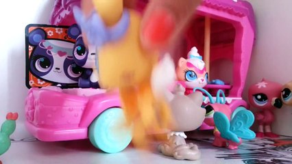 Minişler: Neden Benim Resmim Yok | LPSEM miniş