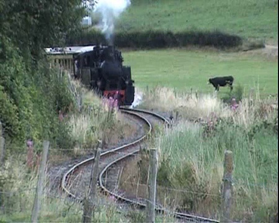 Welshpool Railway No 19 Resita