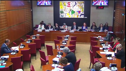 Commission affaires culturelles - 22 juin 2016