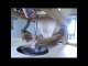 VIDEO. A Vernoux-en Gâtine, le moulin du chêne redéploie ses ailes
