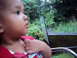 Aiman melawat Zoo Taiping 23-10-2011