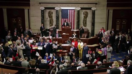 Revolt in the House of Representatives over gun legislation triggers